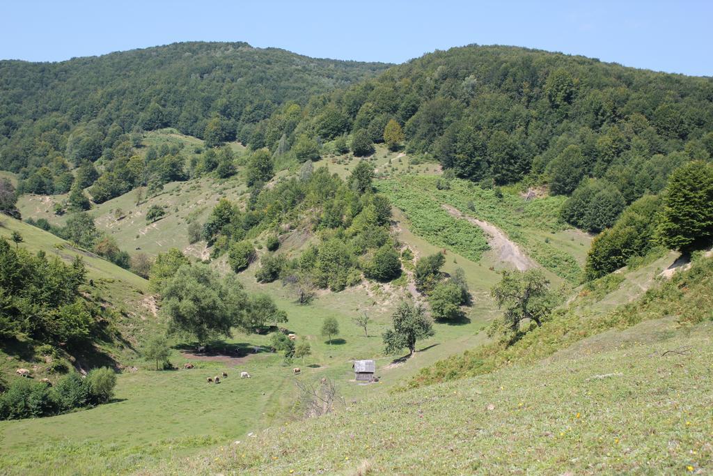 Svit Sontsya Tur'ya Polyana Exteriér fotografie