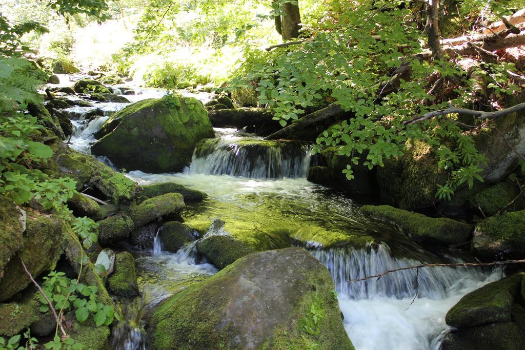 Svit Sontsya Tur'ya Polyana Exteriér fotografie